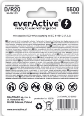 Akum. everActive R20/2BP 5500 Silver Line