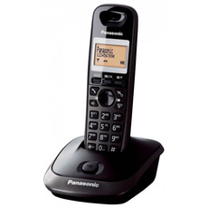 Telefon bezprzewodowy Panasonic  KX-TG2511PDT tytan